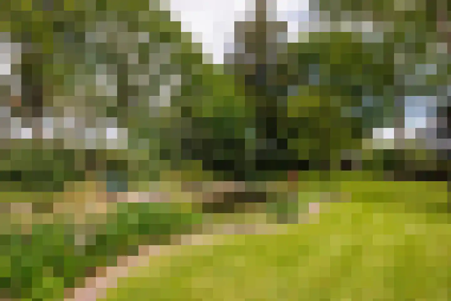 Gening 5 Afferden L thumbnail 66