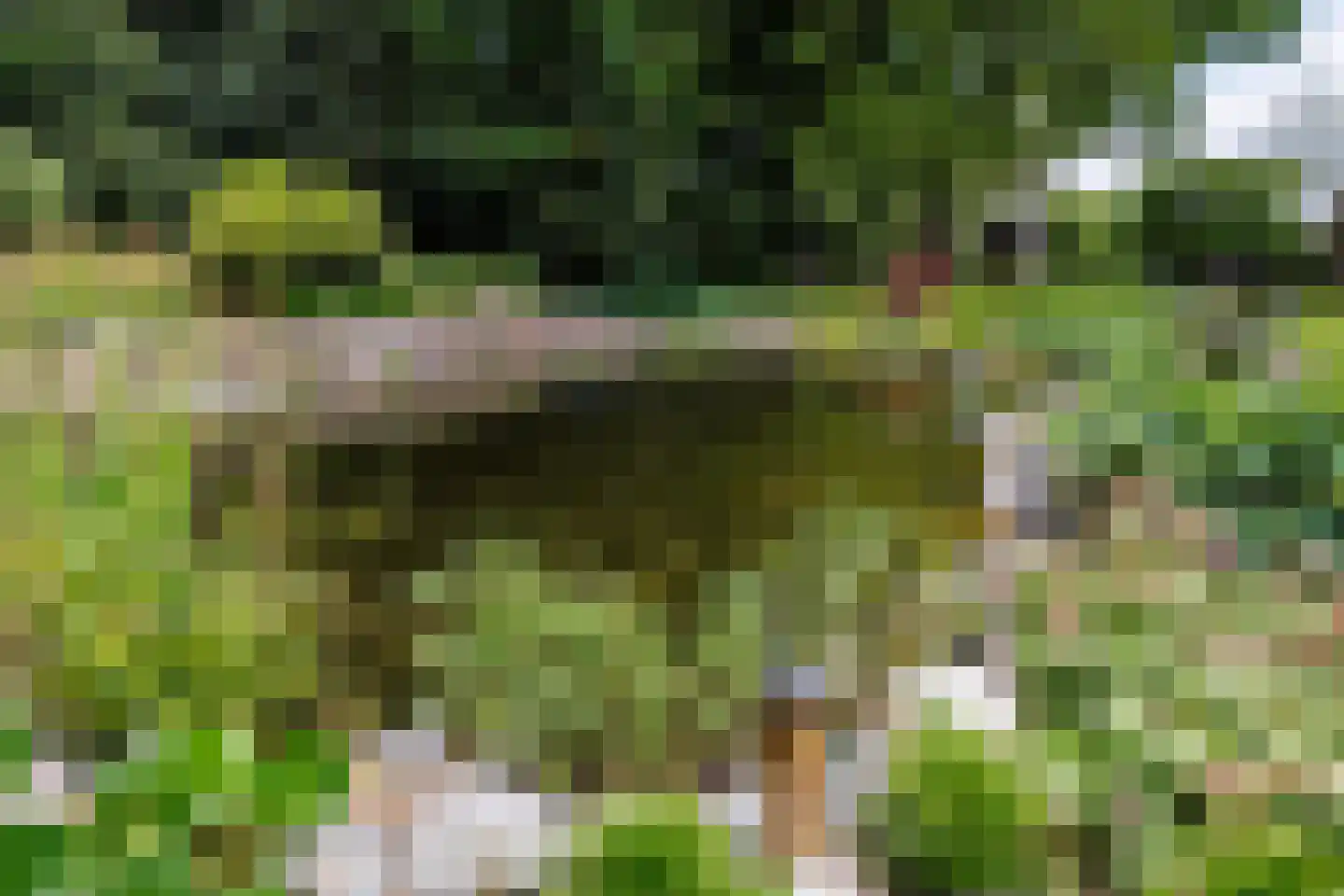 Gening 5 Afferden L thumbnail 67