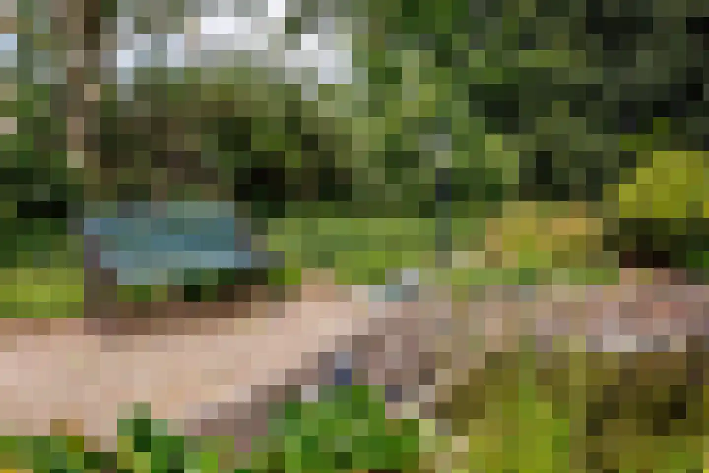 Gening 5 Afferden L thumbnail 68
