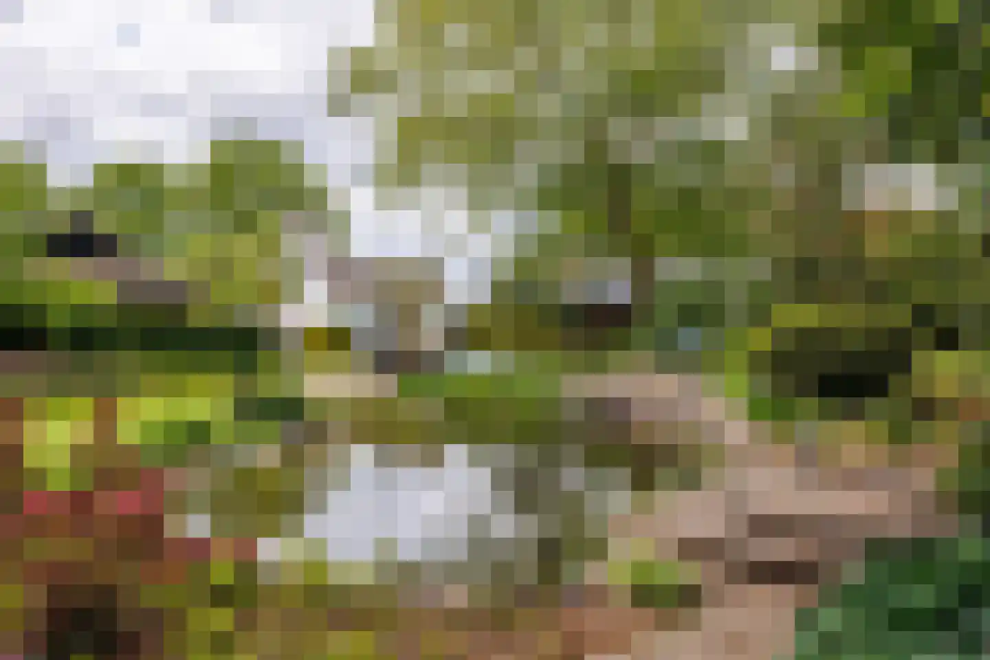 Gening 5 Afferden L thumbnail 69
