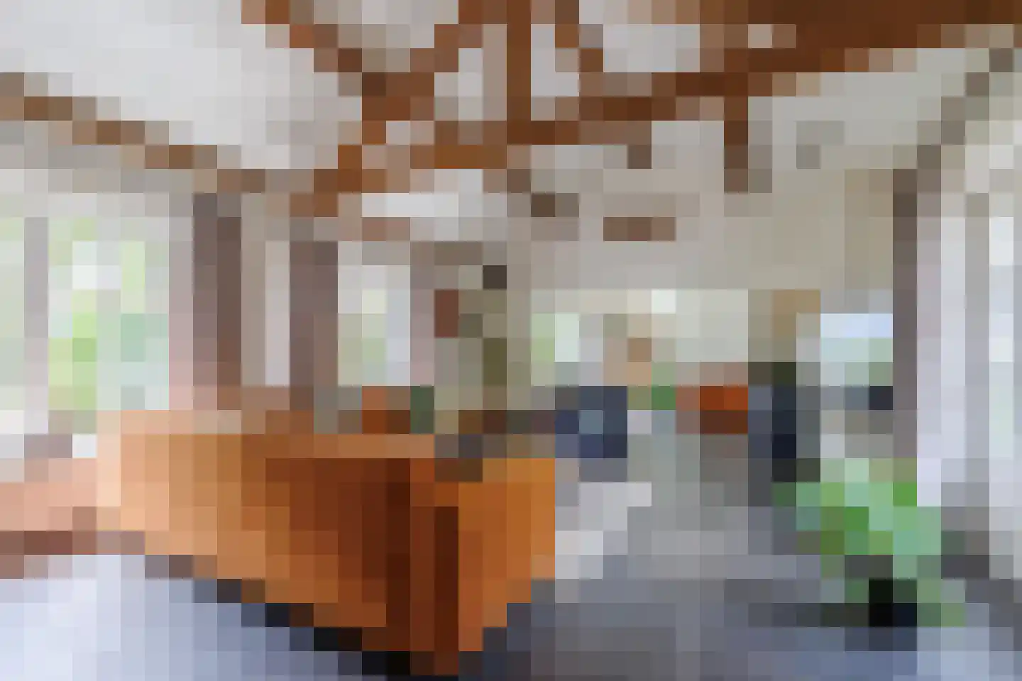 Gening 5 Afferden L thumbnail 7