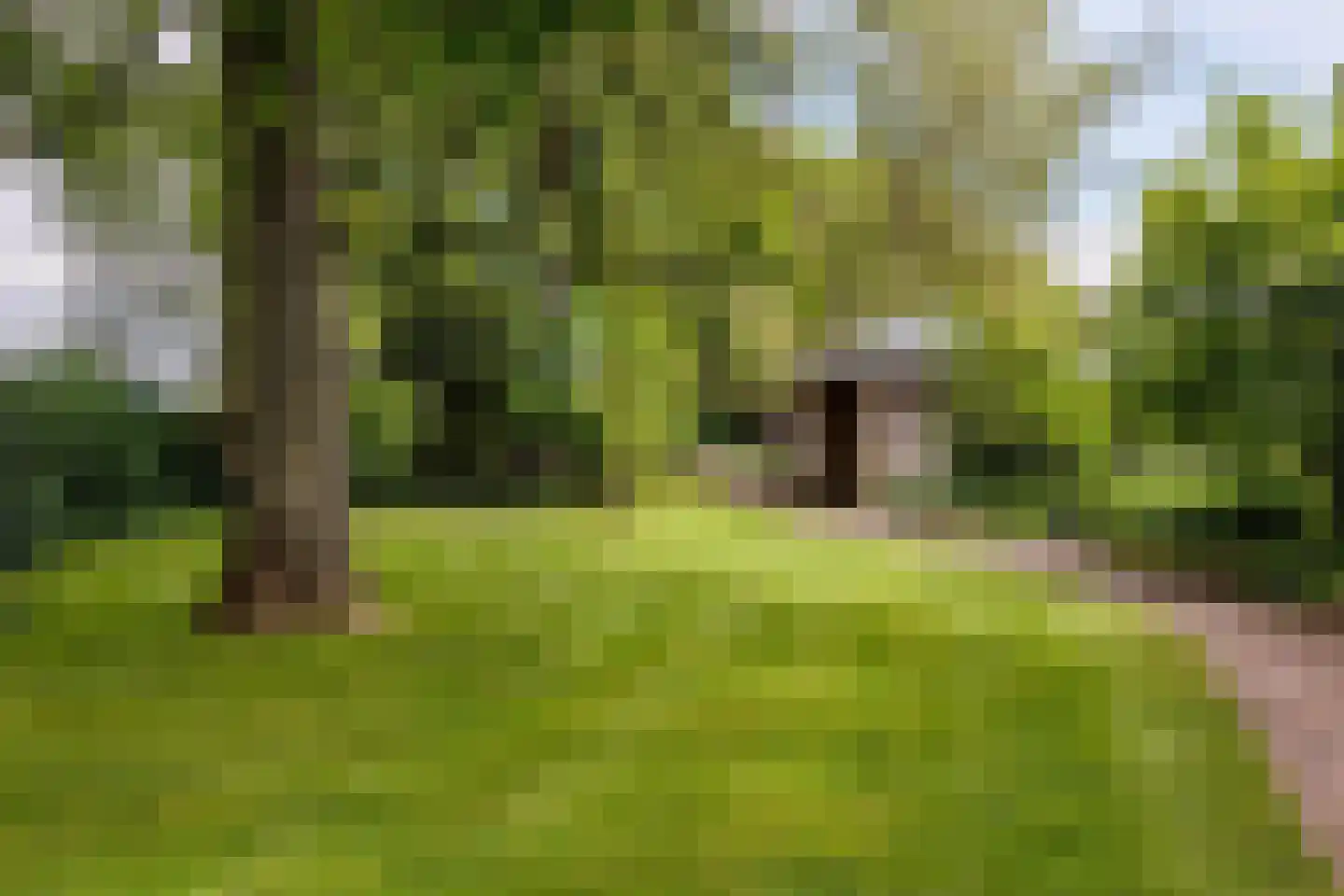 Gening 5 Afferden L thumbnail 70