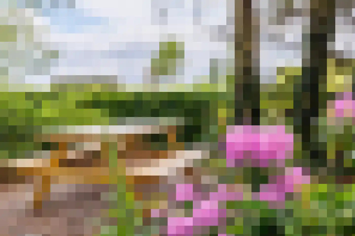 Gening 5 Afferden L thumbnail 71
