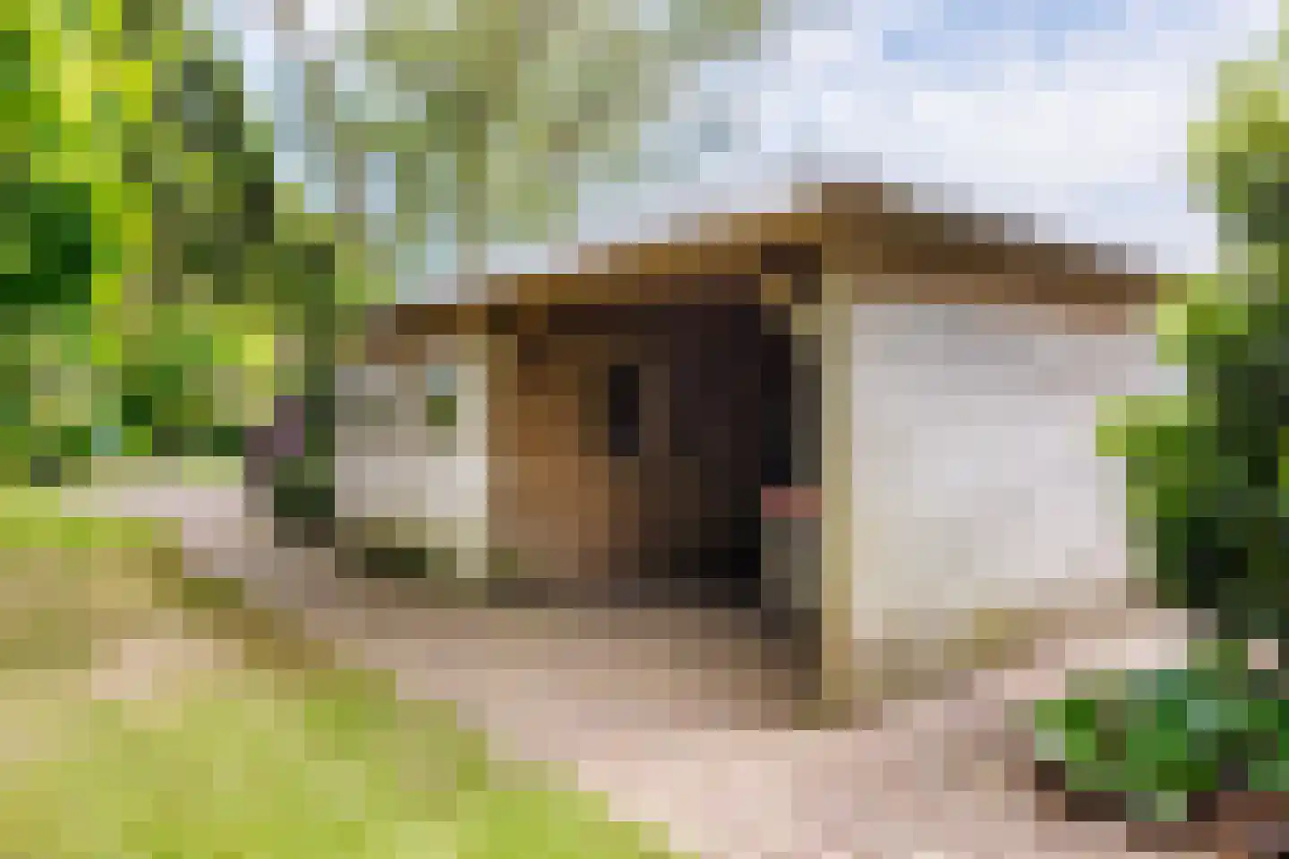 Gening 5 Afferden L thumbnail 73