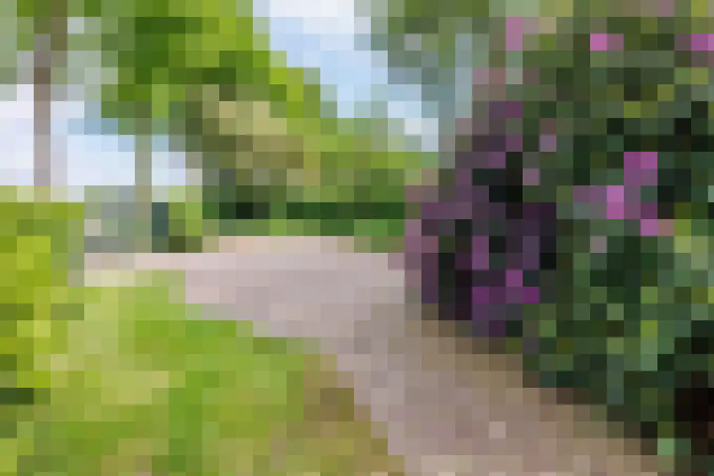Gening 5 Afferden L thumbnail 74