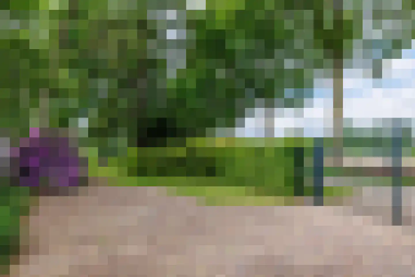 Gening 5 Afferden L thumbnail 75