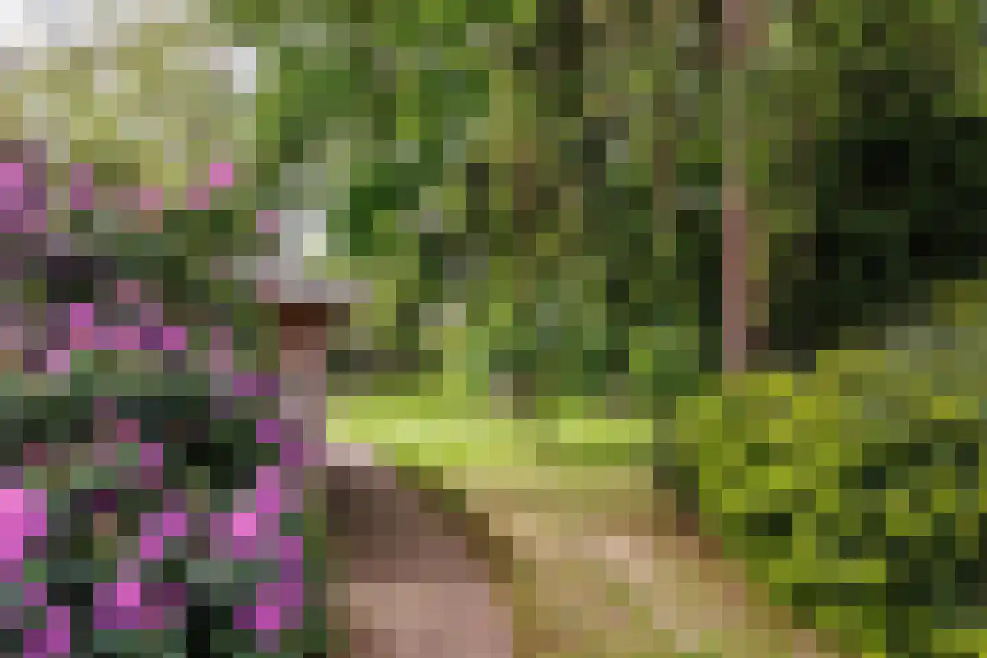Gening 5 Afferden L thumbnail 76