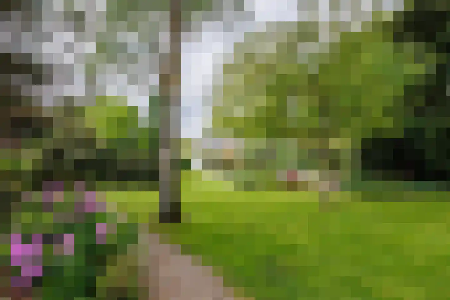 Gening 5 Afferden L thumbnail 78