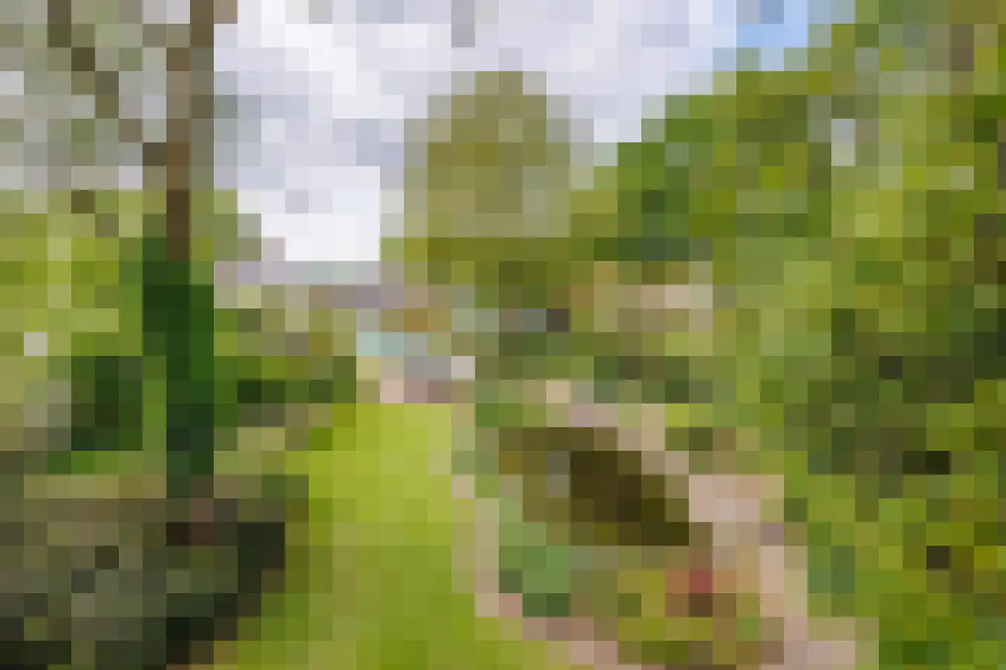 Gening 5 Afferden L thumbnail 82