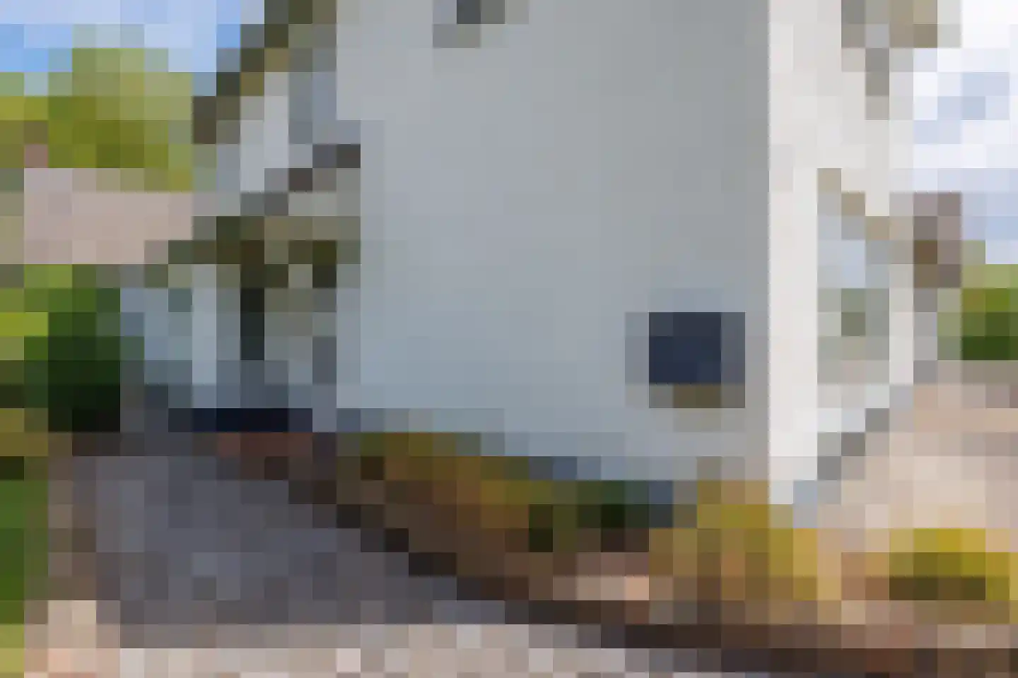 Gening 5 Afferden L thumbnail 87