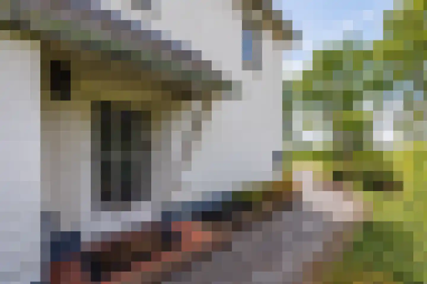 Gening 5 Afferden L thumbnail 89