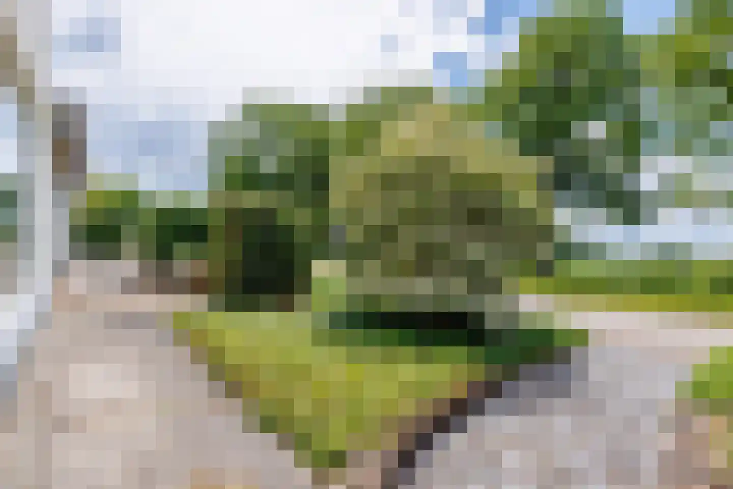 Gening 5 Afferden L thumbnail 91