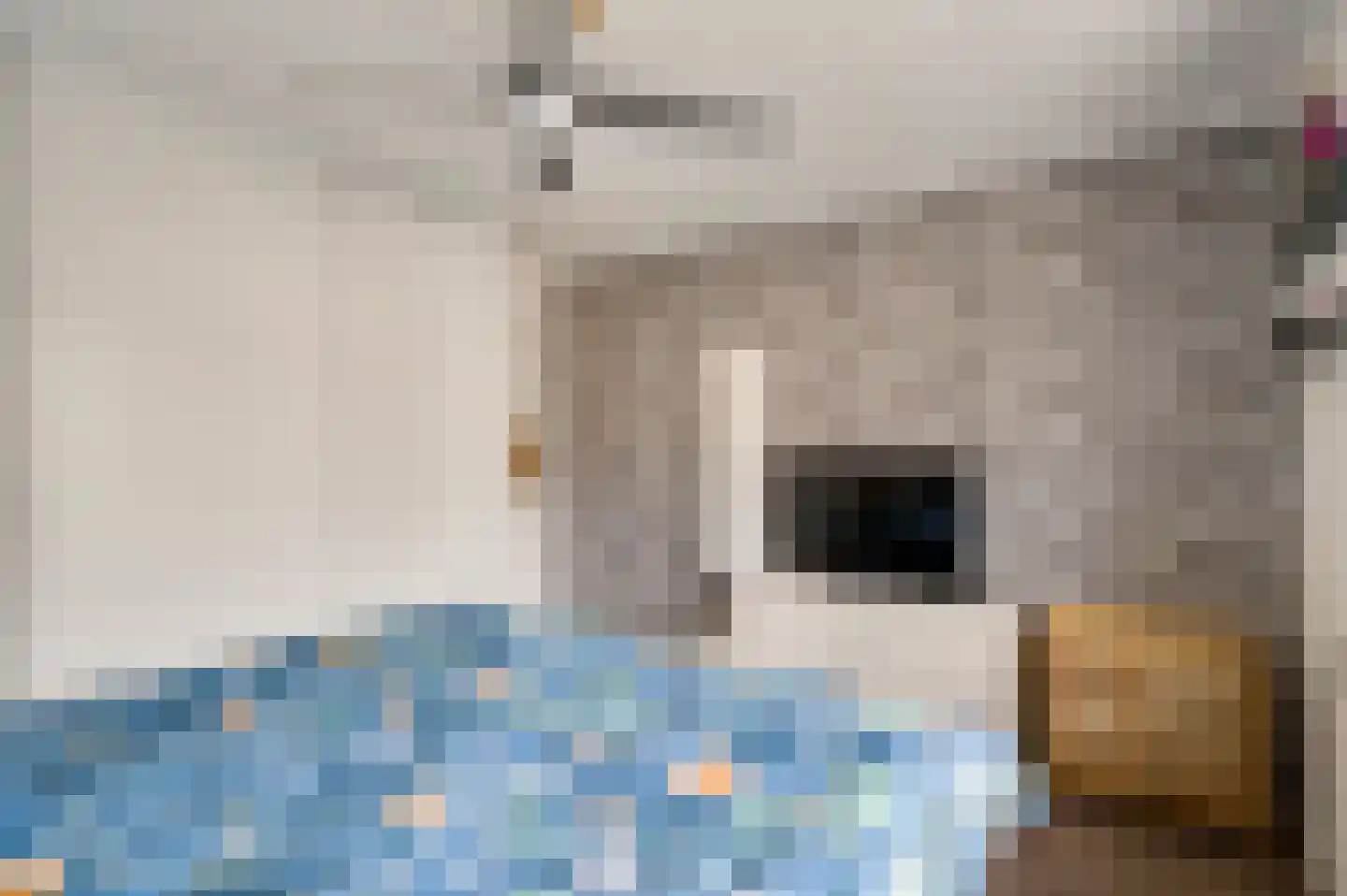 Genkstraat 3 Geleen thumbnail 23
