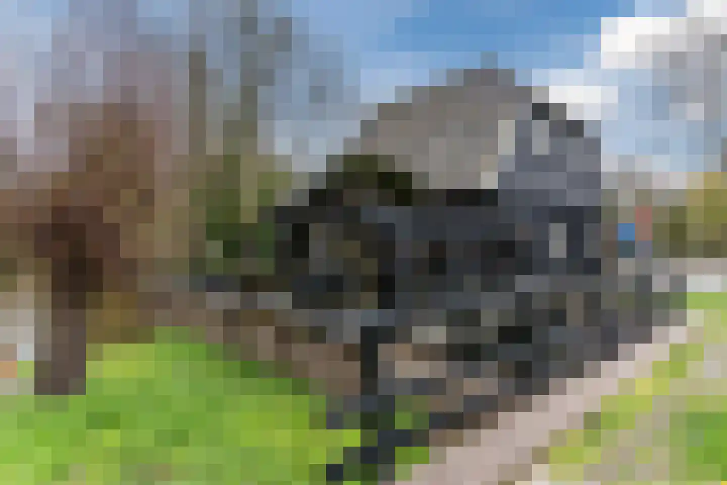 Genneperweg 10 A Eindhoven thumbnail 45