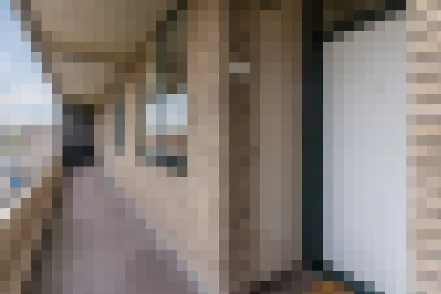 Genneperweg 10 A Eindhoven thumbnail 8
