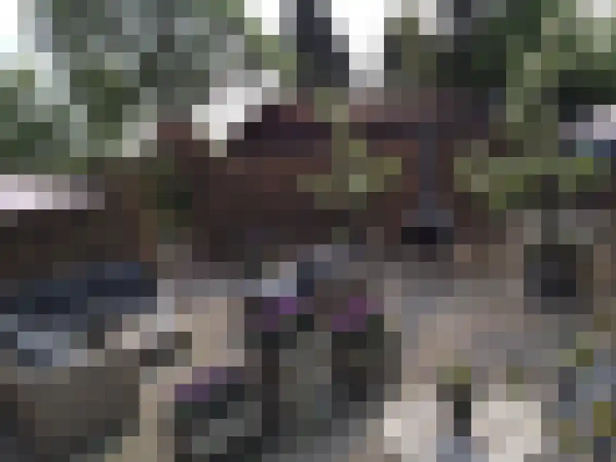 Genneperweg 142 Eindhoven thumbnail 5