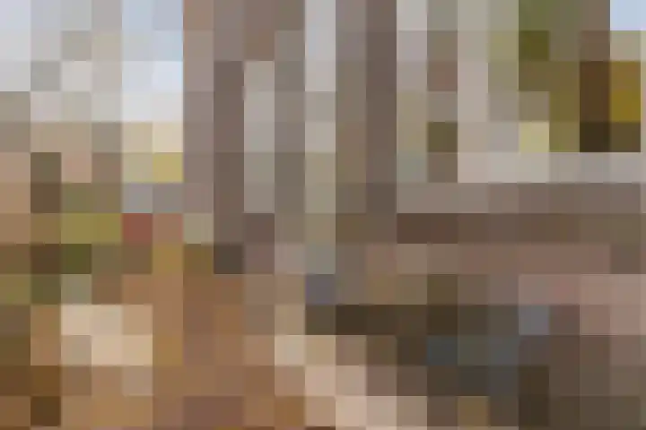 Genneperweg 3 Eindhoven thumbnail 55