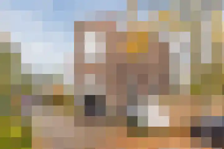 Genneperweg 3 Eindhoven thumbnail 65