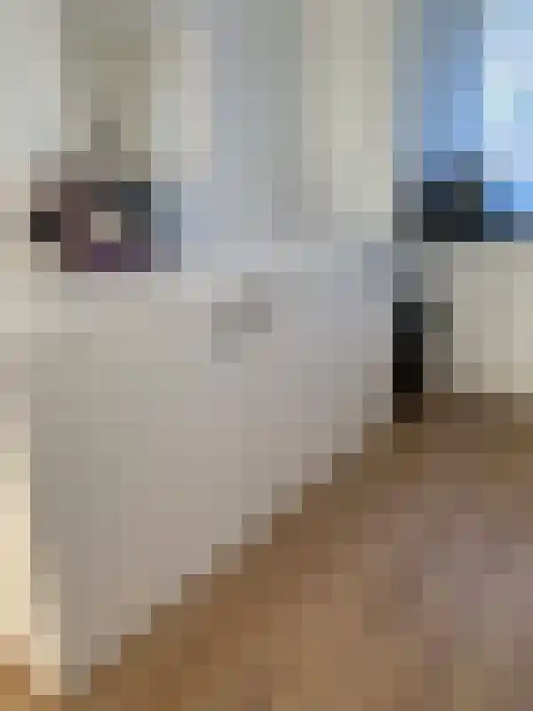 Genneperweg 4 Eindhoven thumbnail 5