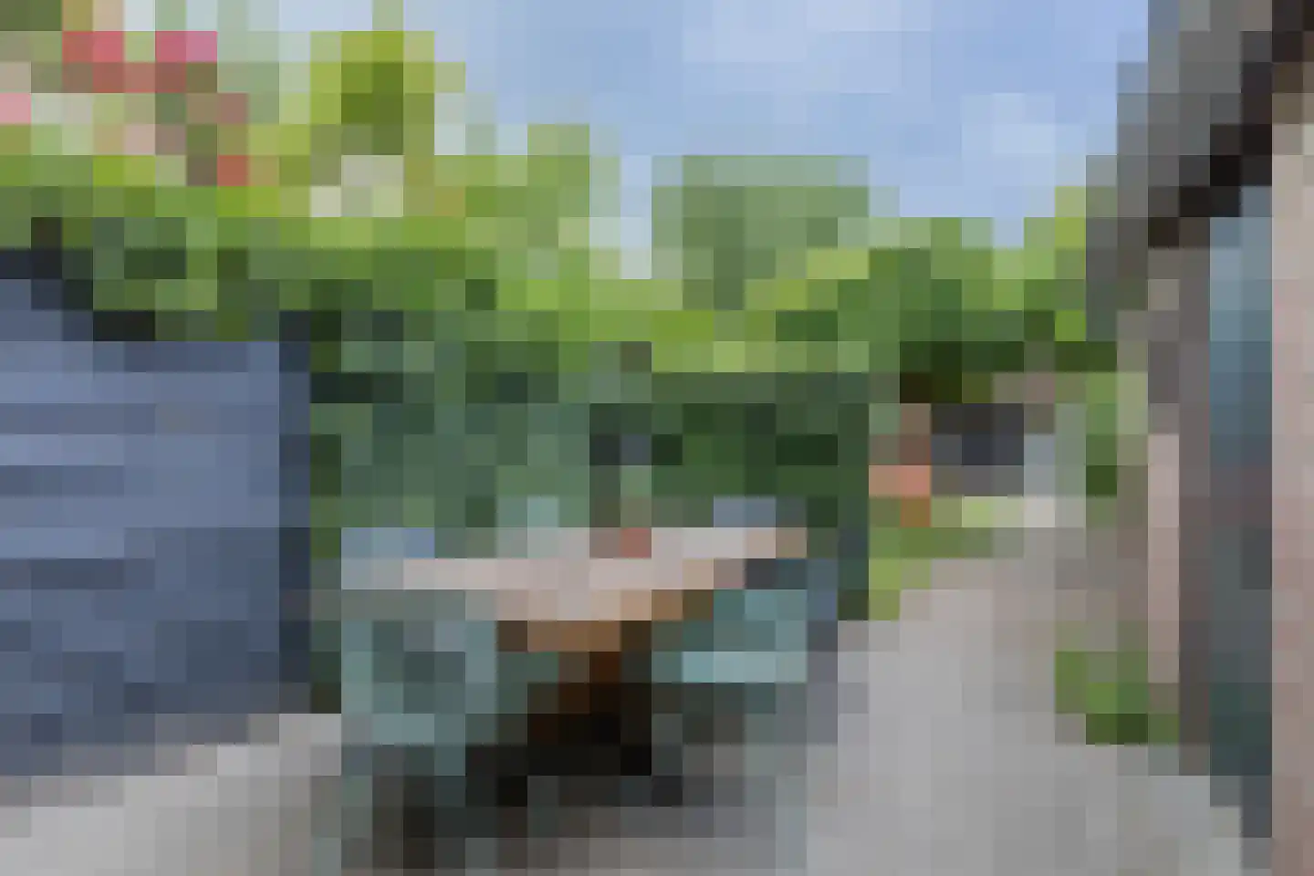 Genneperweg 50 Eindhoven thumbnail 41