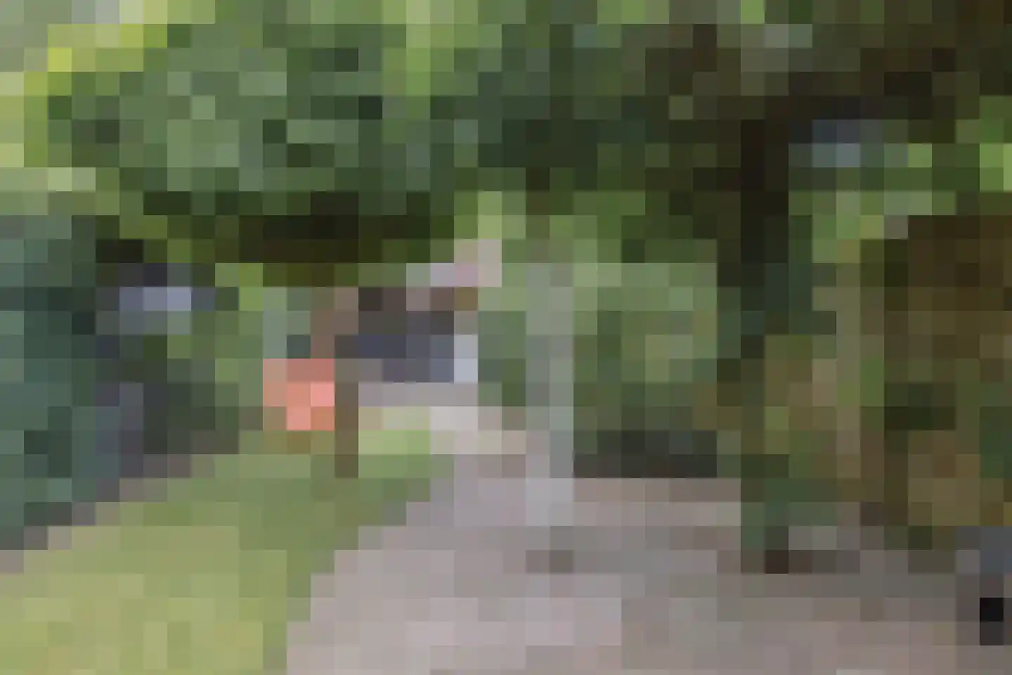 Genneperweg 50 Eindhoven thumbnail 42