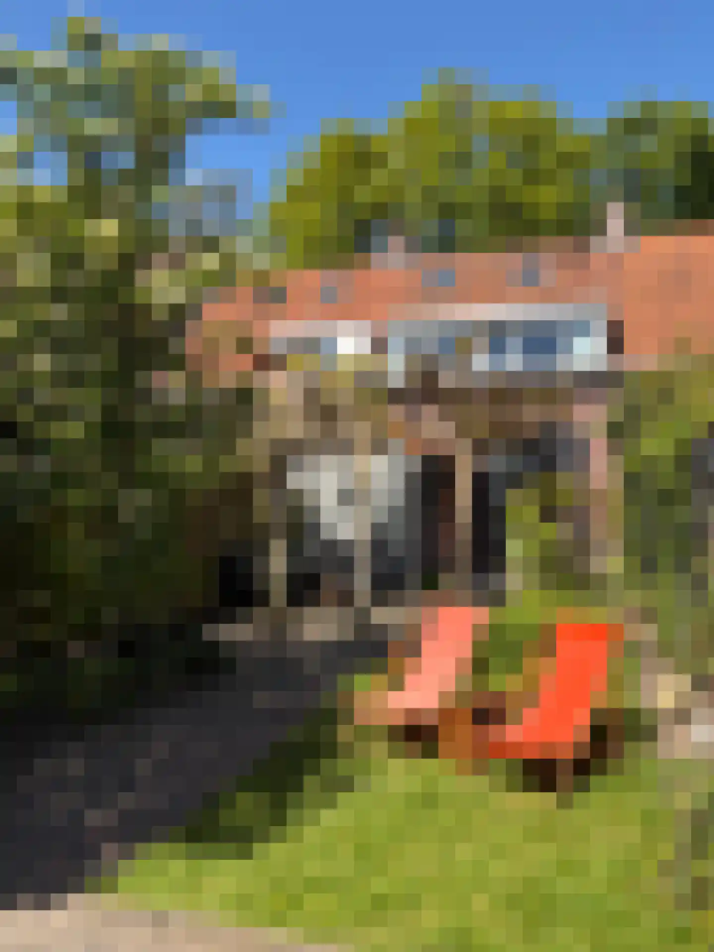 Genneperweg 50 Eindhoven thumbnail 52