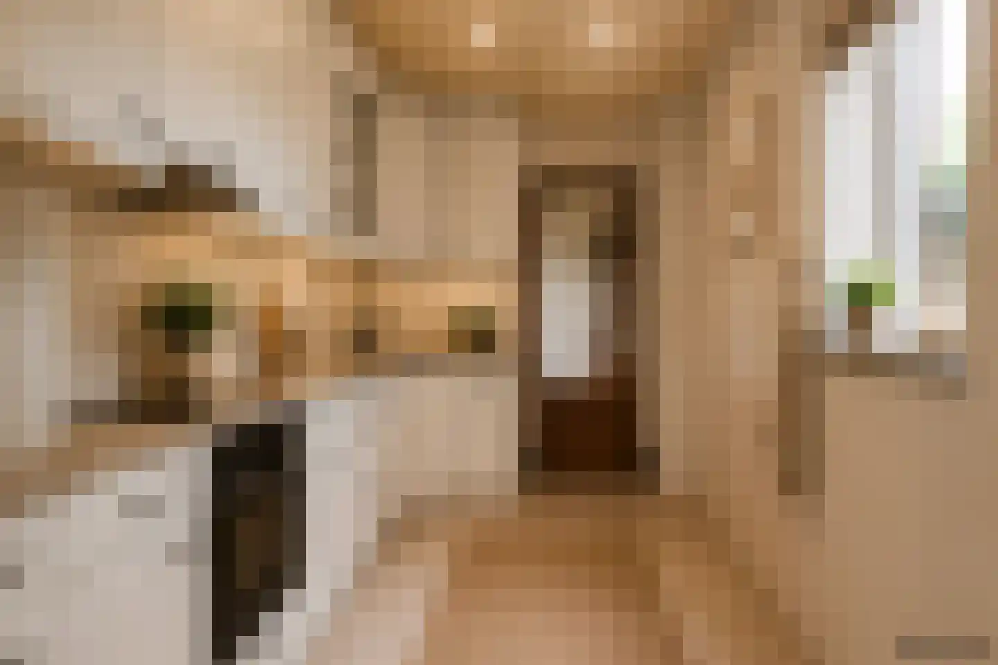 Genneperweg 62 Eindhoven thumbnail 11