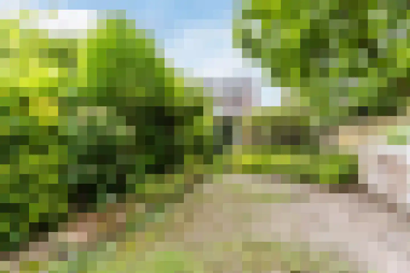 Genneperweg 62 Eindhoven thumbnail 26