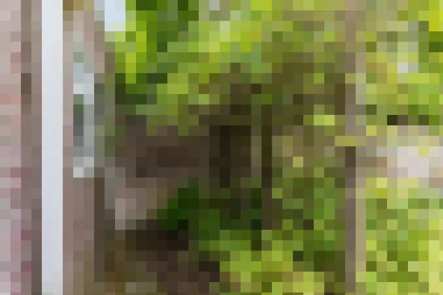 Genneperweg 62 Eindhoven thumbnail 29