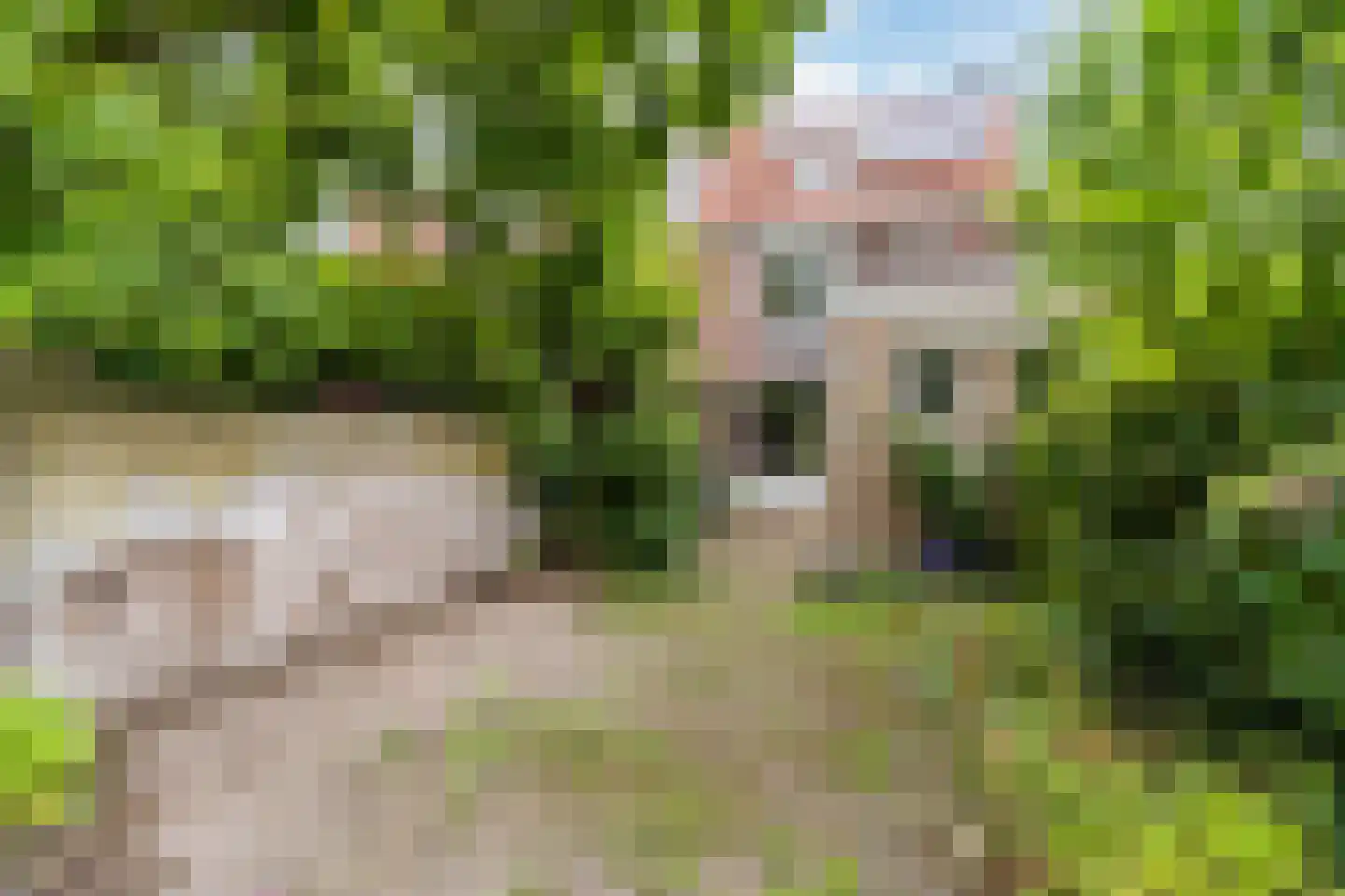 Genneperweg 62 Eindhoven thumbnail 31