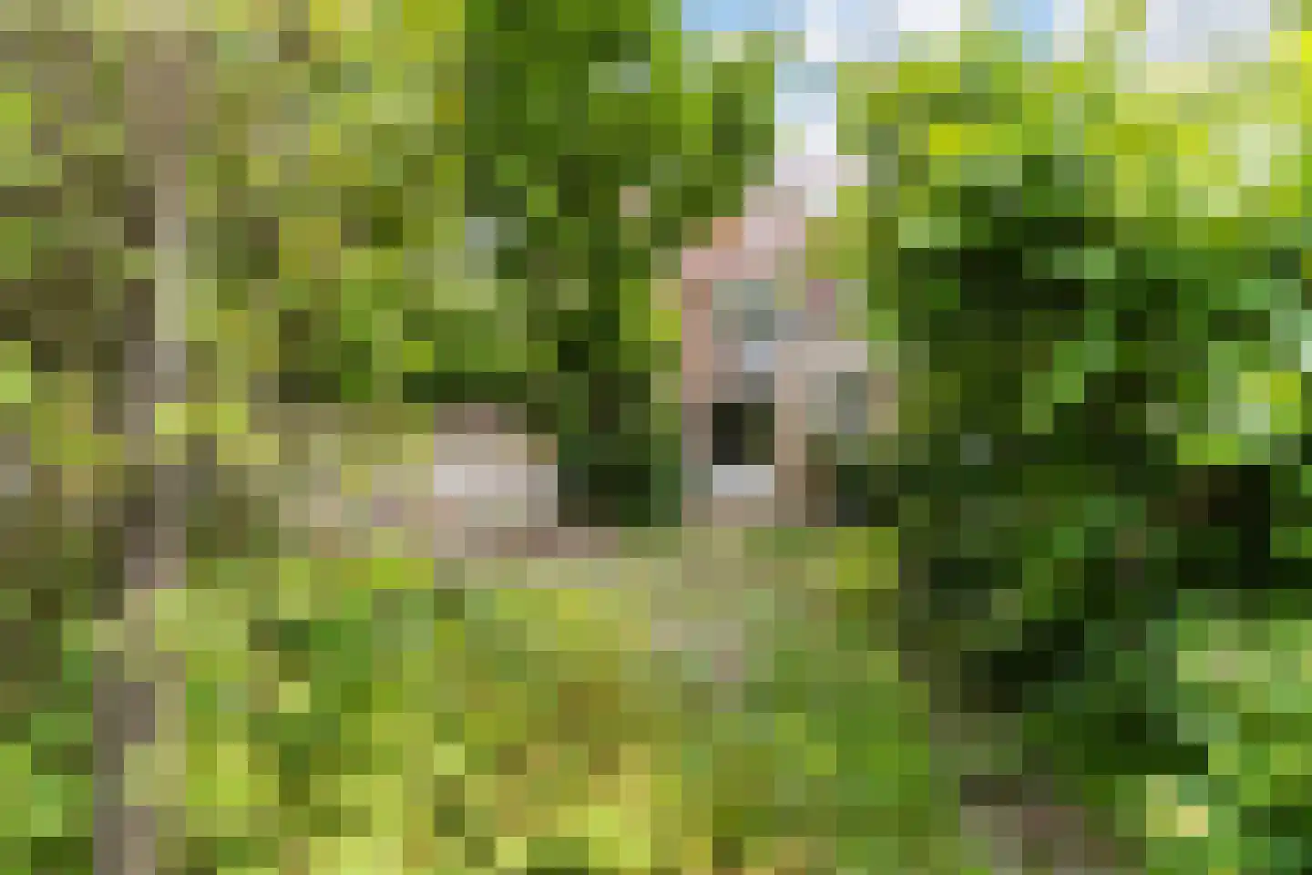 Genneperweg 62 Eindhoven thumbnail 32