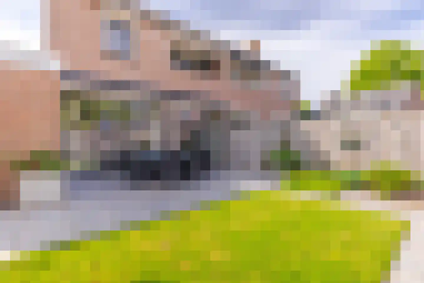 Gennepskamp 1 A Zevenaar thumbnail 20
