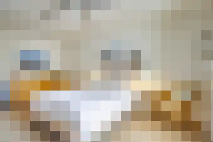 Gennepstraat 1 Tilburg thumbnail 35