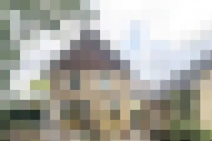Gennepstraat 1 Tilburg thumbnail 46