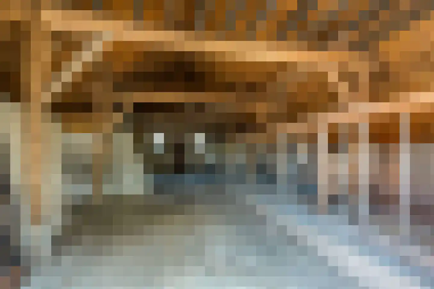 Gennerdijk 6 Hasselt thumbnail 20