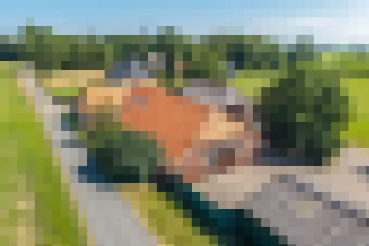 Gennerdijk 6 Hasselt thumbnail 6
