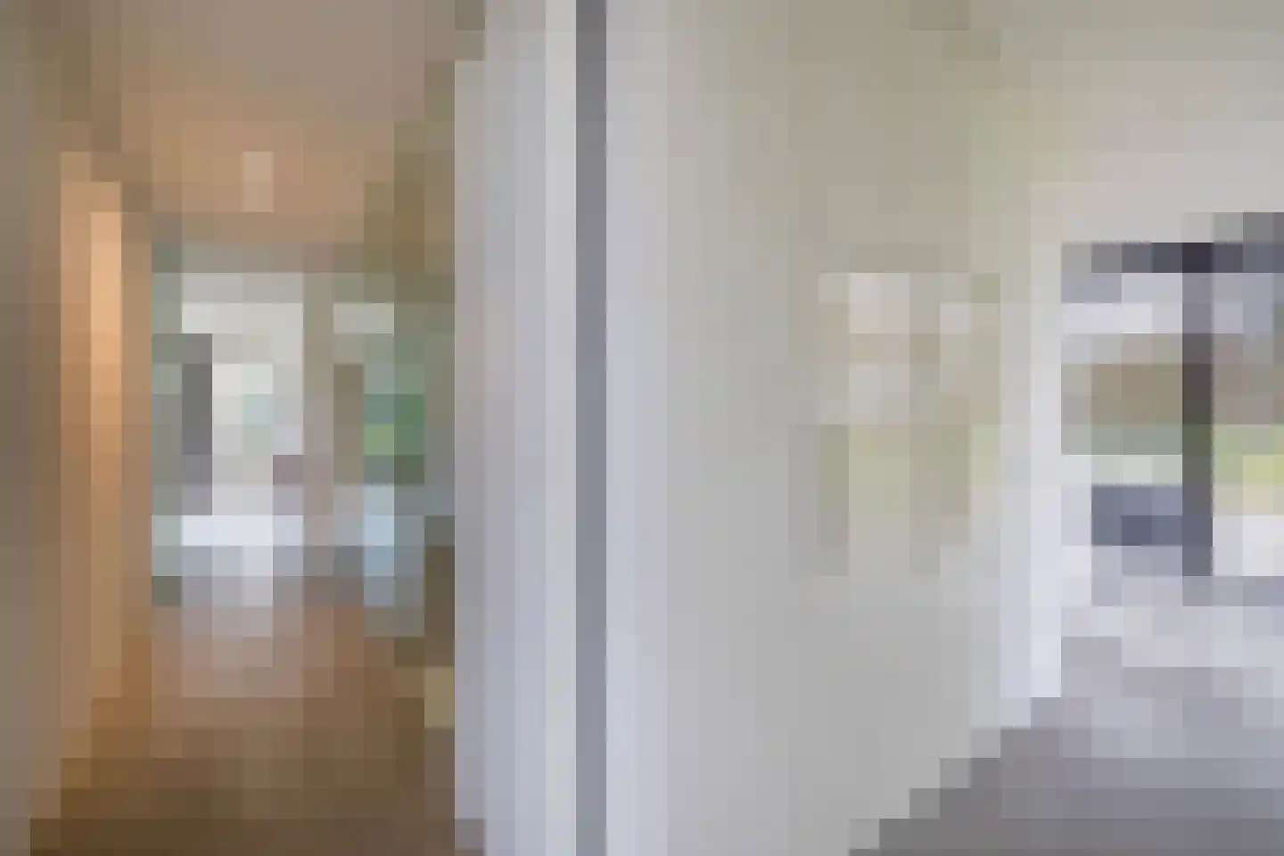 Genoenhuis 12 Geldrop thumbnail 10