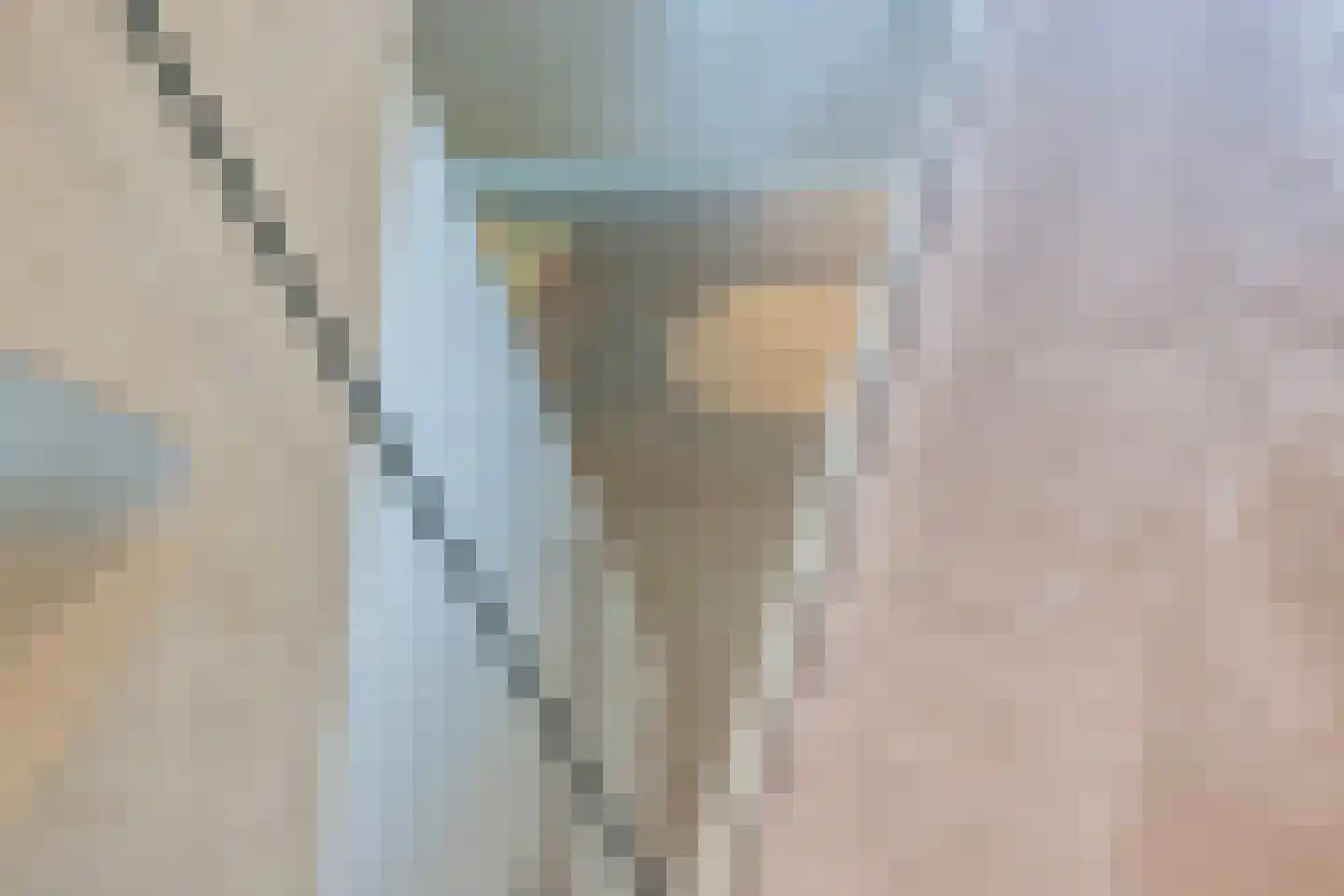 Genoenhuis 12 Geldrop thumbnail 11