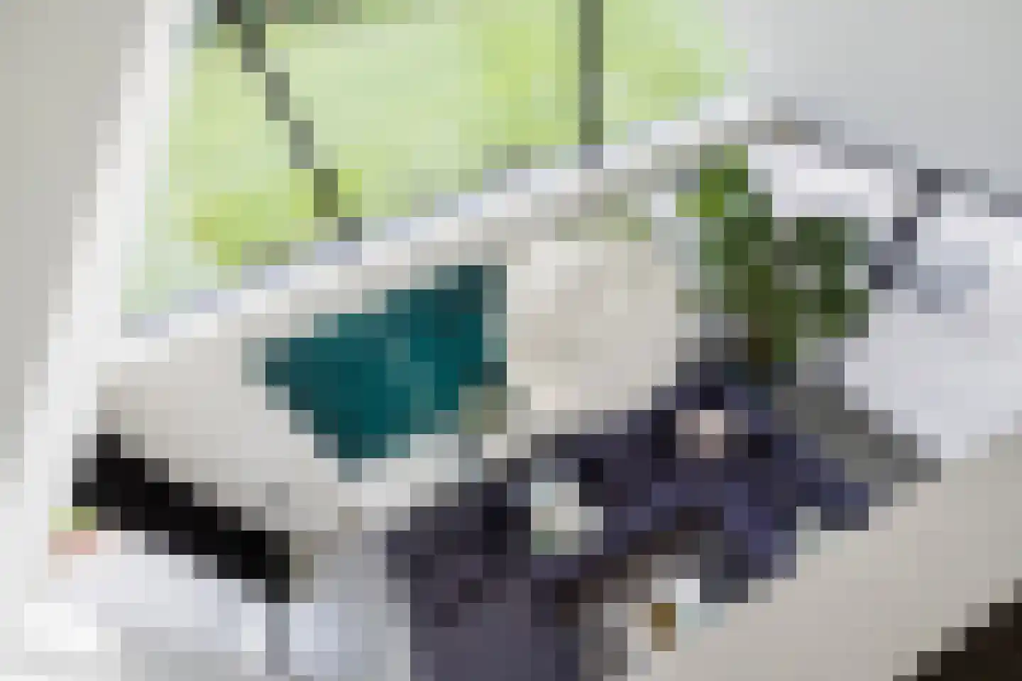Genoenhuis 12 Geldrop thumbnail 12