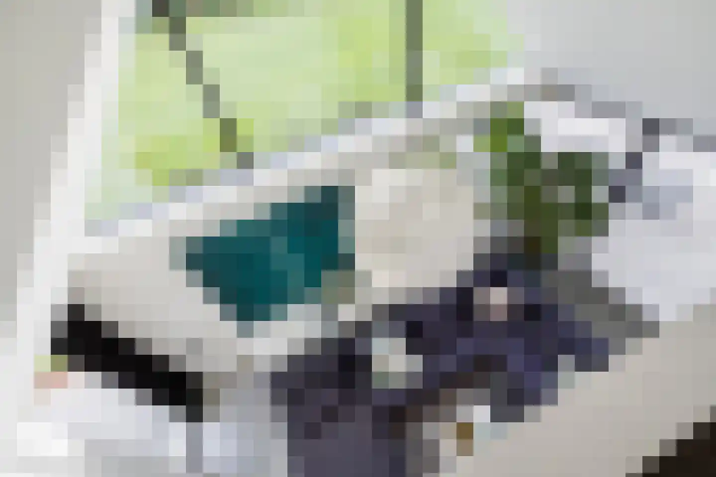 Genoenhuis 12 Geldrop thumbnail 12