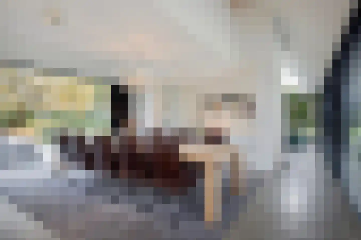 Genoenhuis 12 Geldrop thumbnail 14