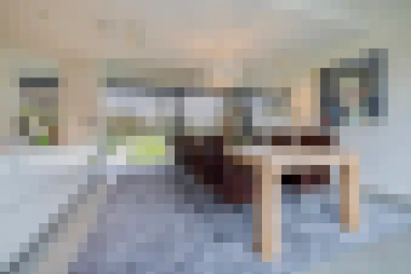Genoenhuis 12 Geldrop thumbnail 15