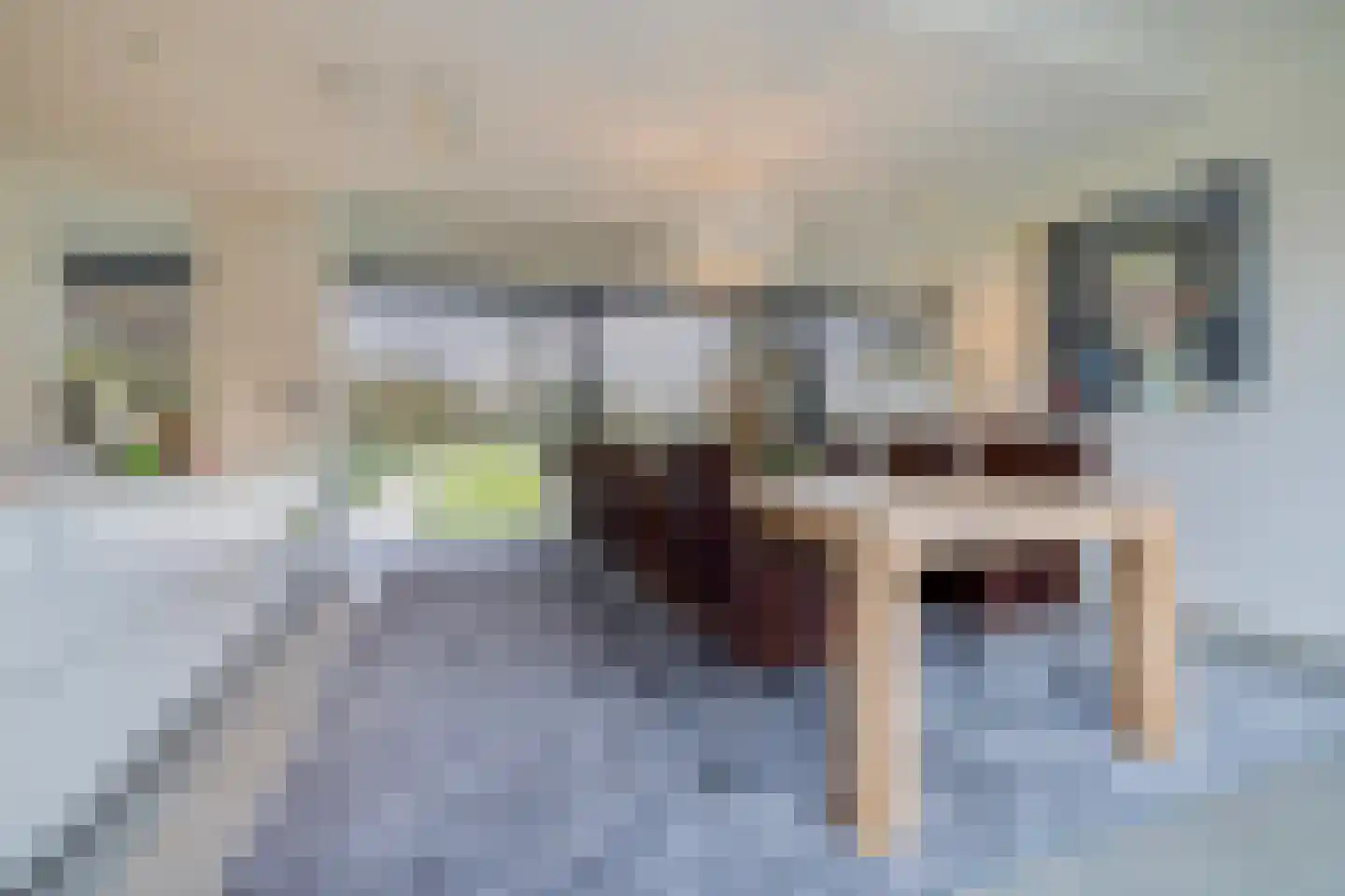 Genoenhuis 12 Geldrop thumbnail 15
