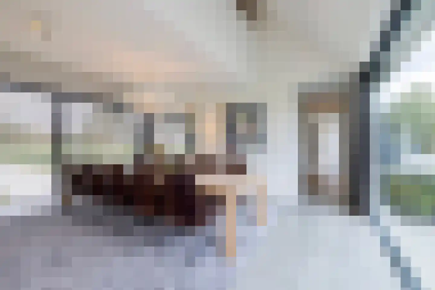 Genoenhuis 12 Geldrop thumbnail 16