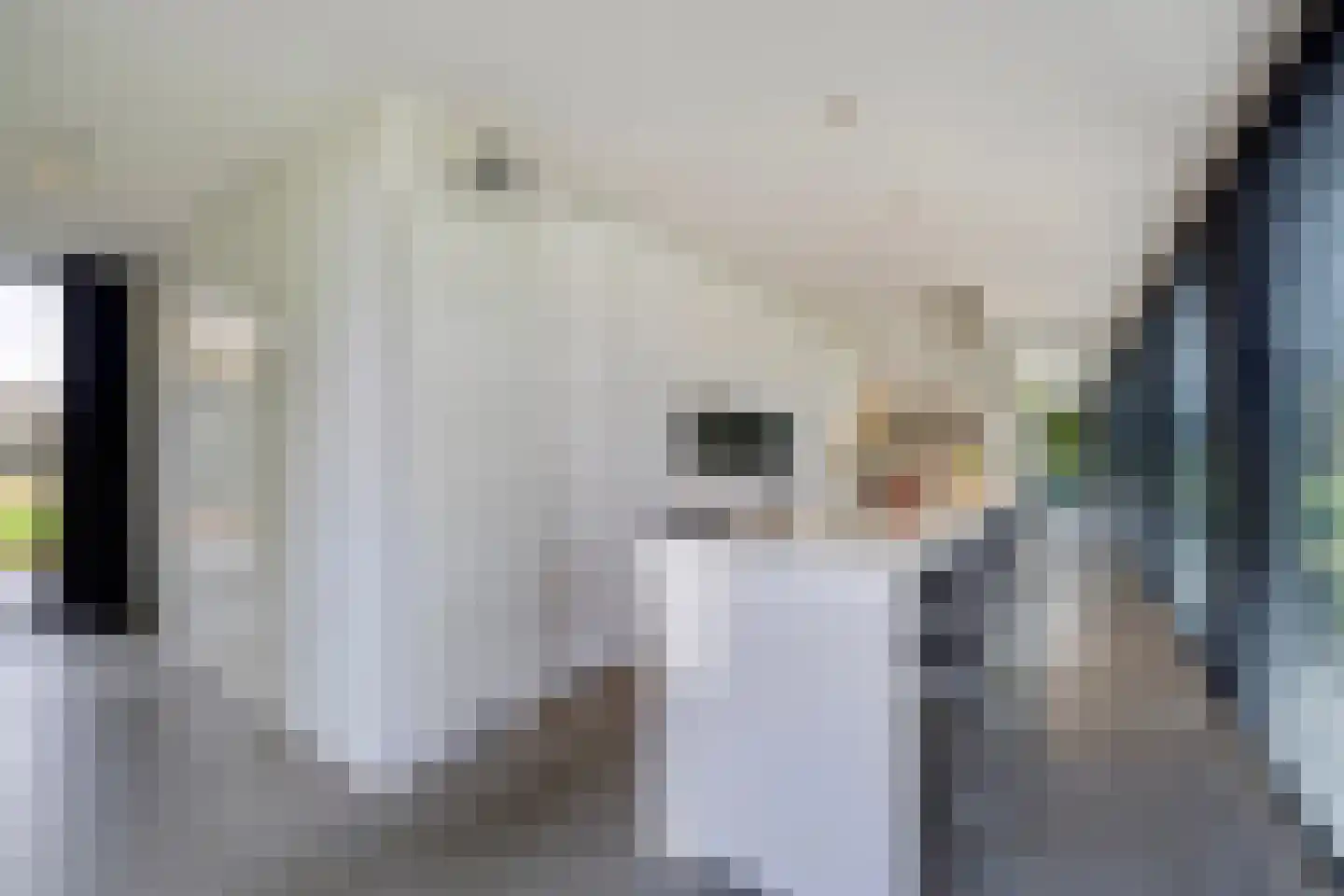 Genoenhuis 12 Geldrop thumbnail 19