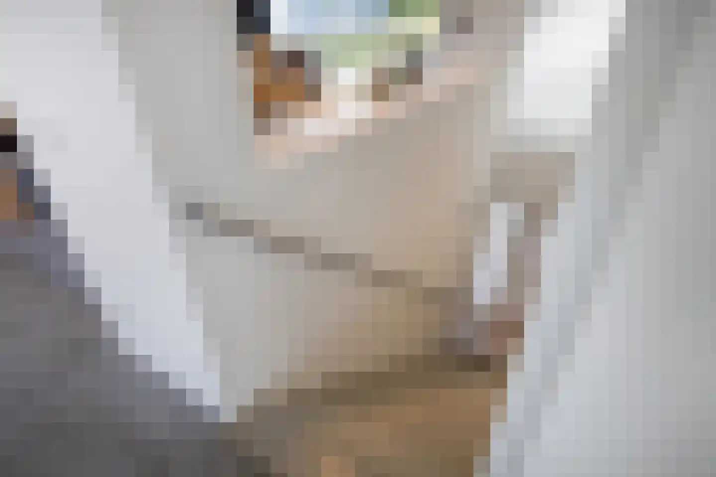 Genoenhuis 12 Geldrop thumbnail 20