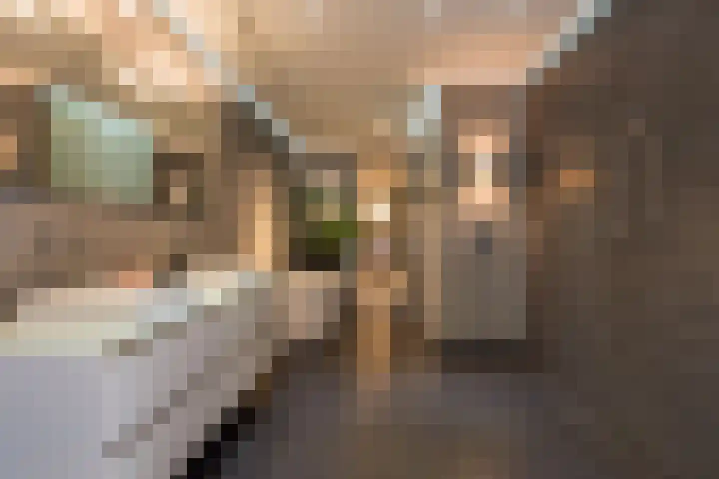 Genoenhuis 12 Geldrop thumbnail 28