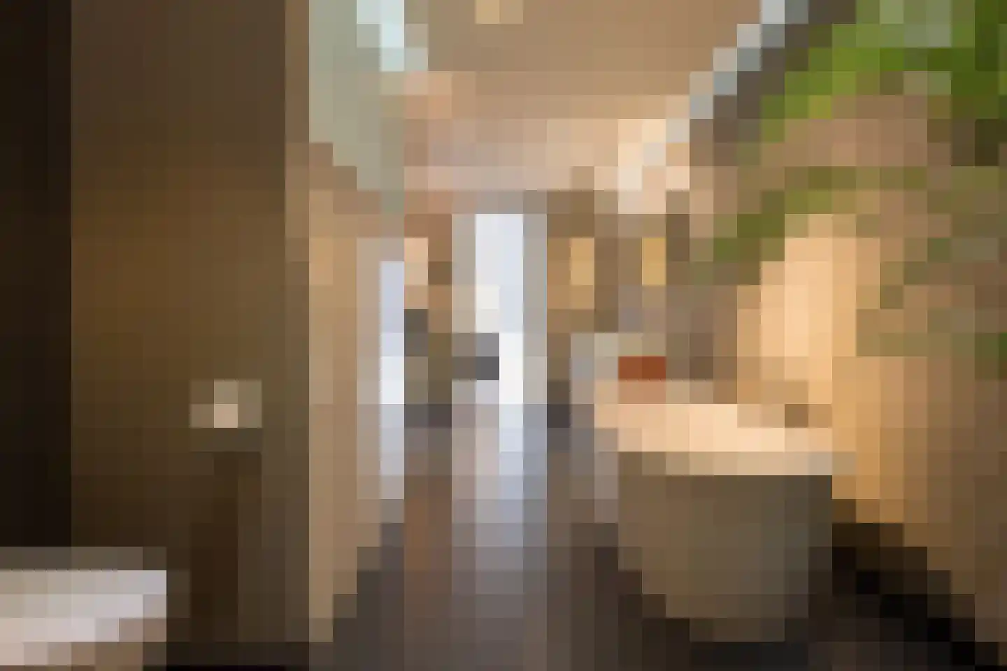 Genoenhuis 12 Geldrop thumbnail 29
