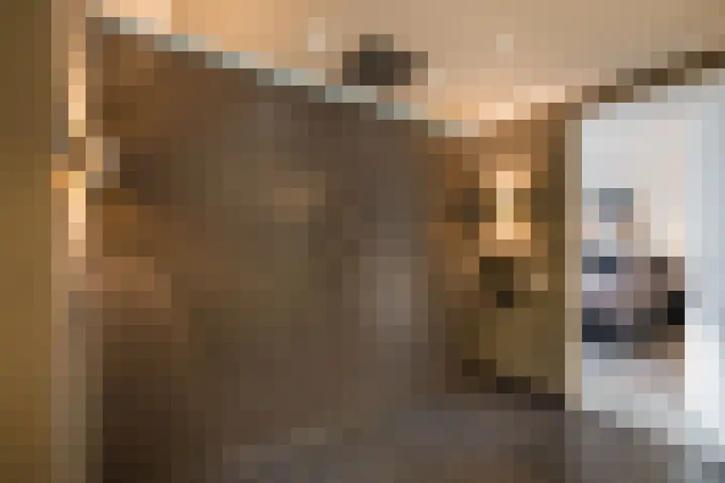 Genoenhuis 12 Geldrop thumbnail 30