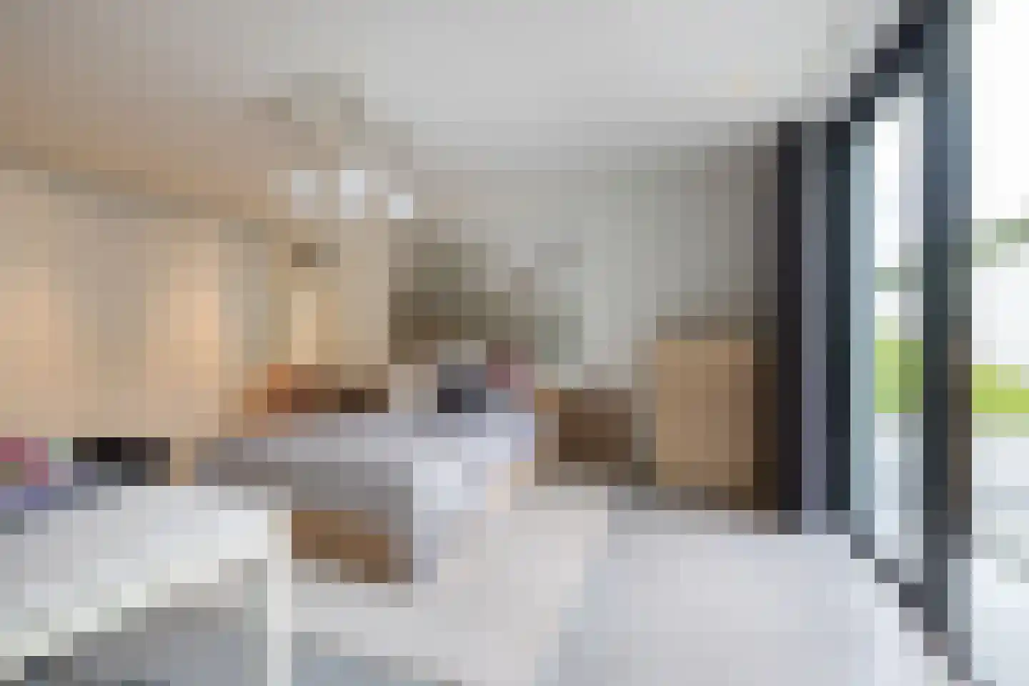 Genoenhuis 12 Geldrop thumbnail 31
